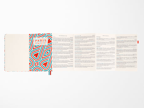 Paris Travel Guide LUXE x Moleskine