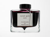 Pilot Iroshizuku Fountain Pen Ink - Syun-Gyo