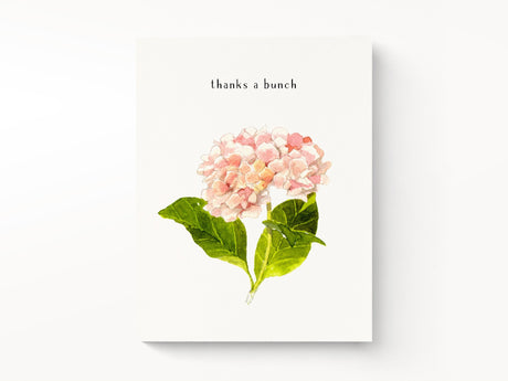 Pink Hydrangeas Thank You Greeting Cards, Box of 8
