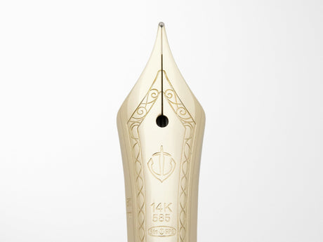 Sailor 1911S Fountain Pen - Japanese Sea Nettle