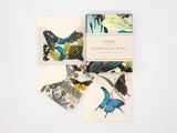 Shimmering Wings Notecards - Set of 10