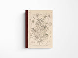 Tomitaro Makino: Hobonichi Graph Notebook A6 - Yamazakura