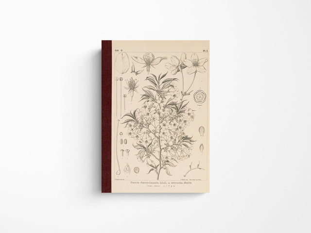 Tomitaro Makino: Hobonichi Graph Notebook A6 - Yamazakura